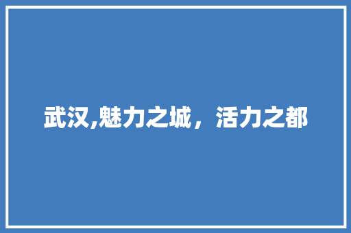 武汉,魅力之城，活力之都