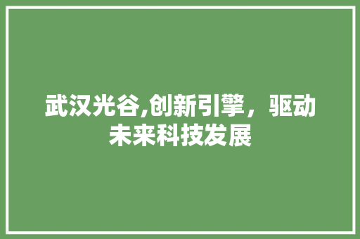 武汉光谷,创新引擎，驱动未来科技发展