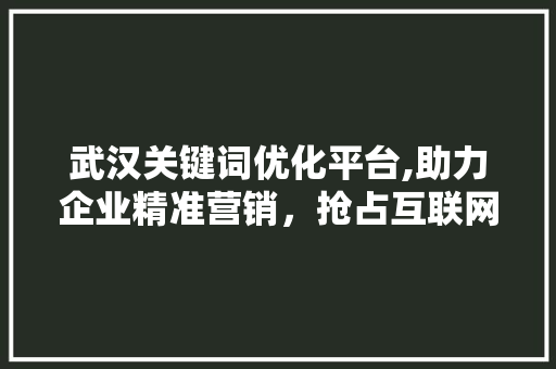 武汉关键词优化平台,助力企业精准营销，抢占互联网先机