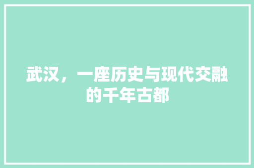 武汉，一座历史与现代交融的千年古都
