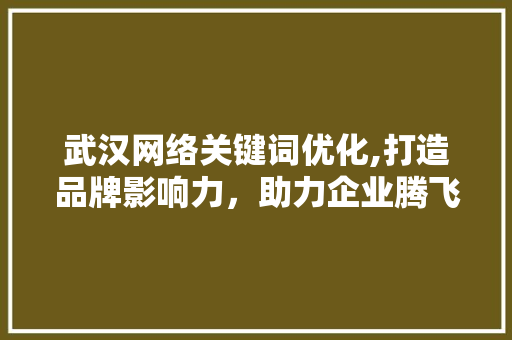 武汉网络关键词优化,打造品牌影响力，助力企业腾飞