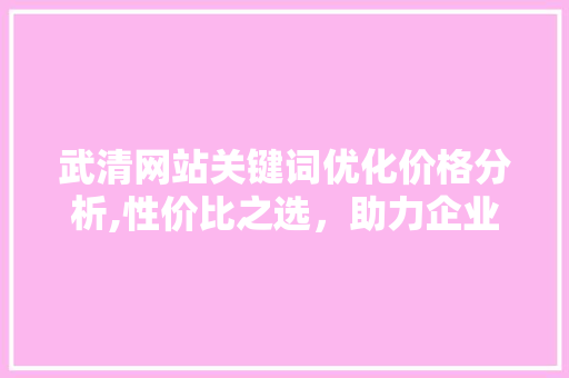 武清网站关键词优化价格分析,性价比之选，助力企业腾飞