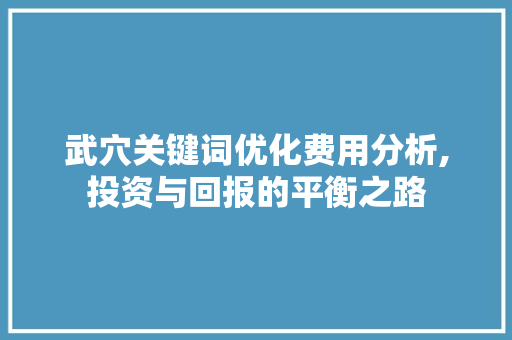 武穴关键词优化费用分析,投资与回报的平衡之路
