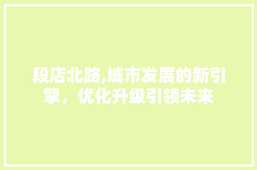 段店北路,城市发展的新引擎，优化升级引领未来