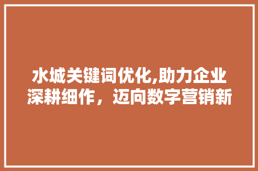 水城关键词优化,助力企业深耕细作，迈向数字营销新高峰