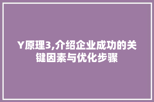 Y原理3,介绍企业成功的关键因素与优化步骤