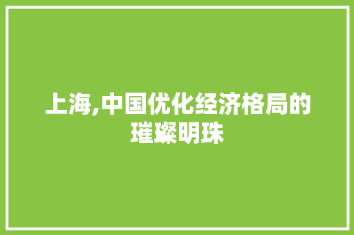 上海,中国优化经济格局的璀璨明珠