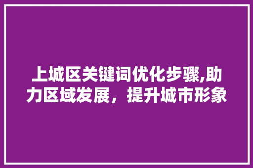 上城区关键词优化步骤,助力区域发展，提升城市形象