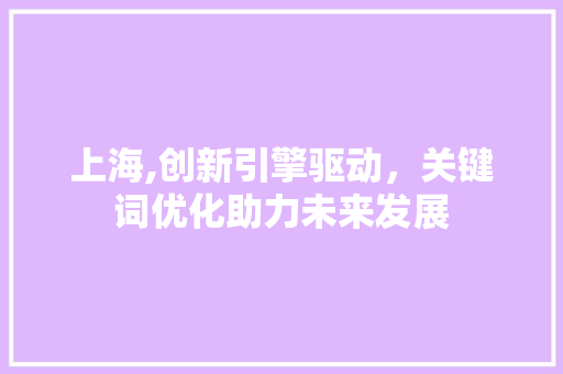 上海,创新引擎驱动，关键词优化助力未来发展
