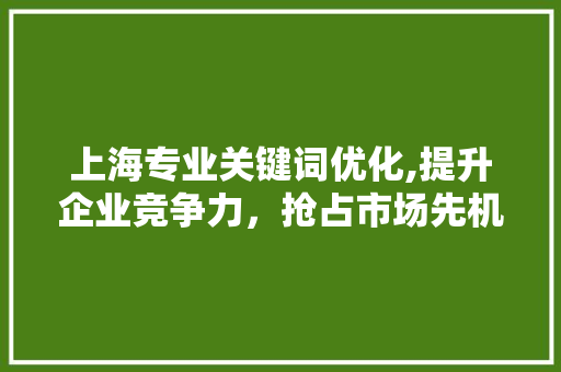 上海专业关键词优化,提升企业竞争力，抢占市场先机