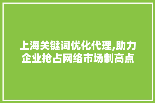 上海关键词优化代理,助力企业抢占网络市场制高点