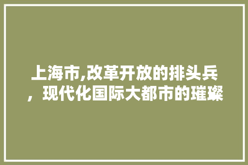 上海市,改革开放的排头兵，现代化国际大都市的璀璨明珠