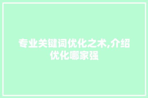 专业关键词优化之术,介绍优化哪家强