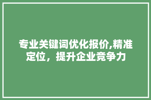 专业关键词优化报价,精准定位，提升企业竞争力