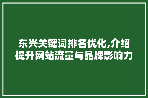 东兴关键词排名优化,介绍提升网站流量与品牌影响力的方法