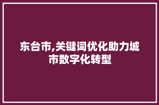 东台市,关键词优化助力城市数字化转型