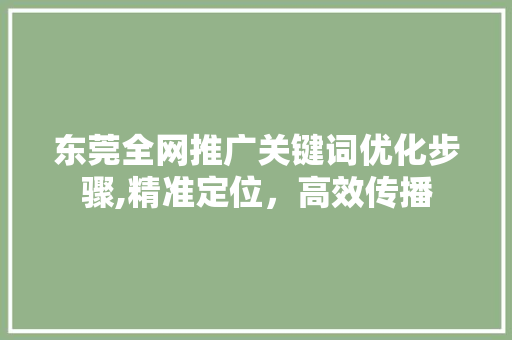 东莞全网推广关键词优化步骤,精准定位，高效传播