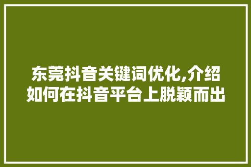 东莞抖音关键词优化,介绍如何在抖音平台上脱颖而出