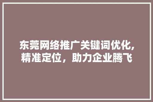 东莞网络推广关键词优化,精准定位，助力企业腾飞