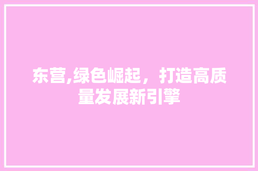 东营,绿色崛起，打造高质量发展新引擎