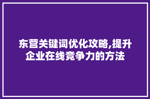 东营关键词优化攻略,提升企业在线竞争力的方法