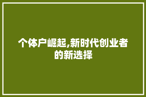 个体户崛起,新时代创业者的新选择