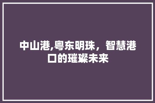 中山港,粤东明珠，智慧港口的璀璨未来