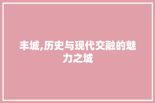 丰城,历史与现代交融的魅力之城