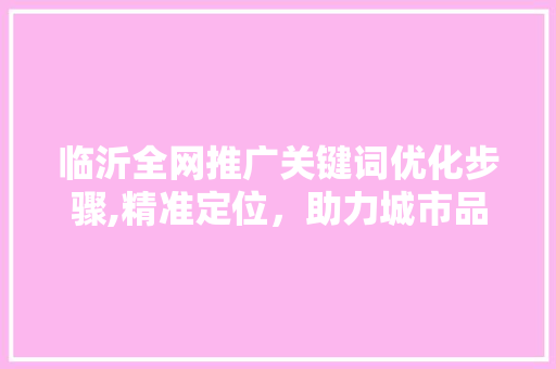 临沂全网推广关键词优化步骤,精准定位，助力城市品牌腾飞