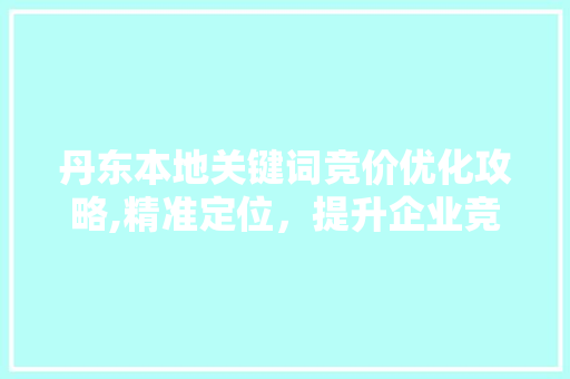 丹东本地关键词竞价优化攻略,精准定位，提升企业竞争力