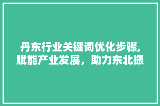 丹东行业关键词优化步骤,赋能产业发展，助力东北振兴