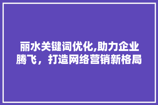 丽水关键词优化,助力企业腾飞，打造网络营销新格局