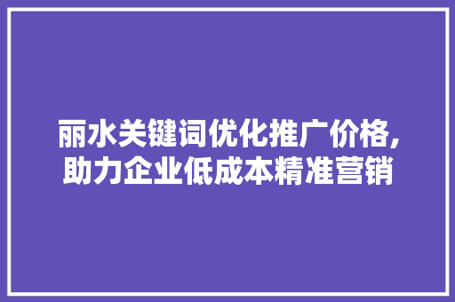 丽水关键词优化推广价格,助力企业低成本精准营销