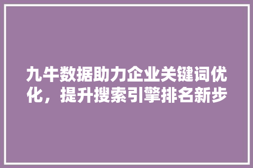 九牛数据助力企业关键词优化，提升搜索引擎排名新步骤