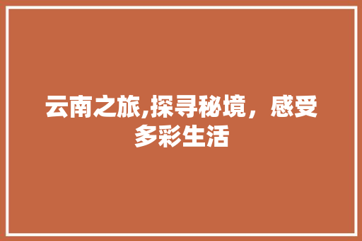 云南之旅,探寻秘境，感受多彩生活