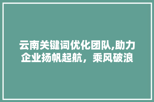 云南关键词优化团队,助力企业扬帆起航，乘风破浪