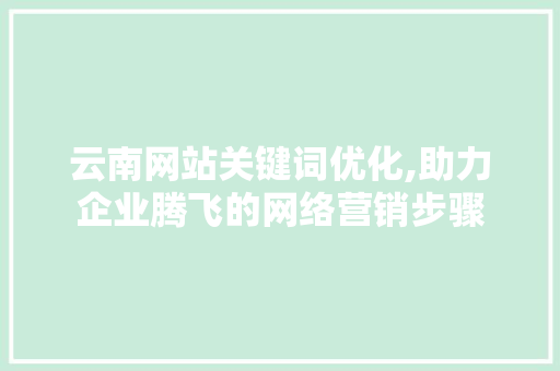 云南网站关键词优化,助力企业腾飞的网络营销步骤