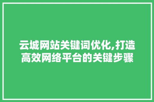云城网站关键词优化,打造高效网络平台的关键步骤