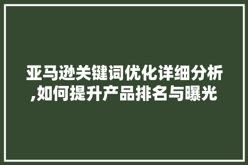 亚马逊关键词优化详细分析,如何提升产品排名与曝光度