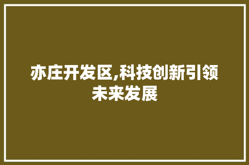 亦庄开发区,科技创新引领未来发展
