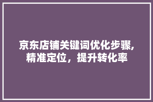京东店铺关键词优化步骤,精准定位，提升转化率