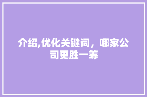介绍,优化关键词，哪家公司更胜一筹