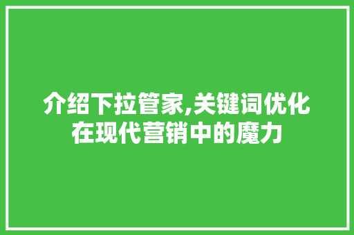 介绍下拉管家,关键词优化在现代营销中的魔力