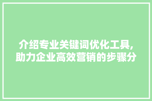 介绍专业关键词优化工具,助力企业高效营销的步骤分析