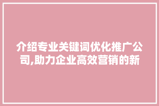 介绍专业关键词优化推广公司,助力企业高效营销的新利器