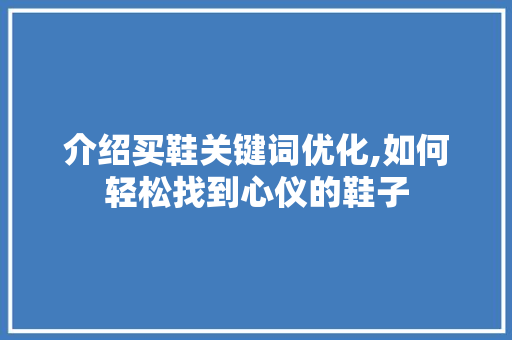 介绍买鞋关键词优化,如何轻松找到心仪的鞋子