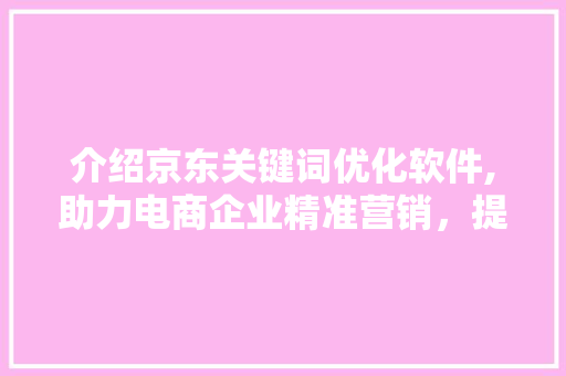 介绍京东关键词优化软件,助力电商企业精准营销，提升竞争力