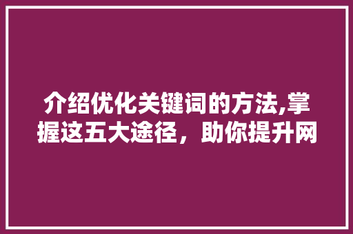 介绍优化关键词的方法,掌握这五大途径，助你提升网站排名