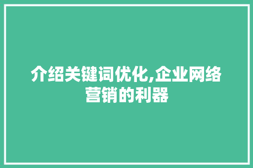介绍关键词优化,企业网络营销的利器