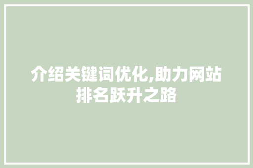 介绍关键词优化,助力网站排名跃升之路